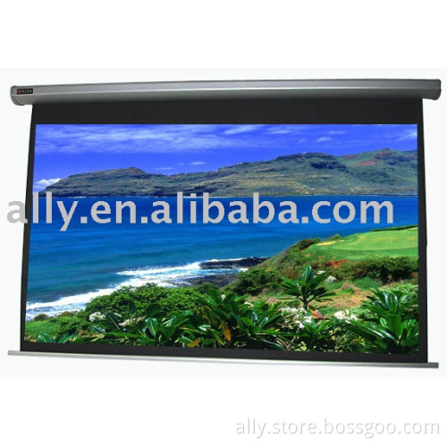 Top Grade Electric Screen